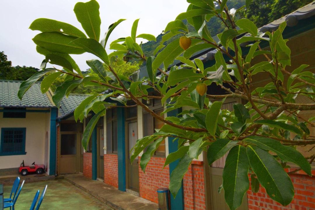 Photo of Others in Sanyi