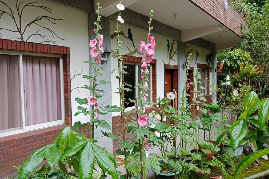 Photo of Buildings in Nanzhuang