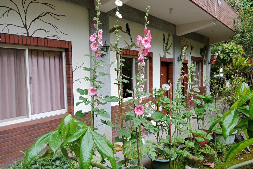 Photo of Others in Nanzhuang