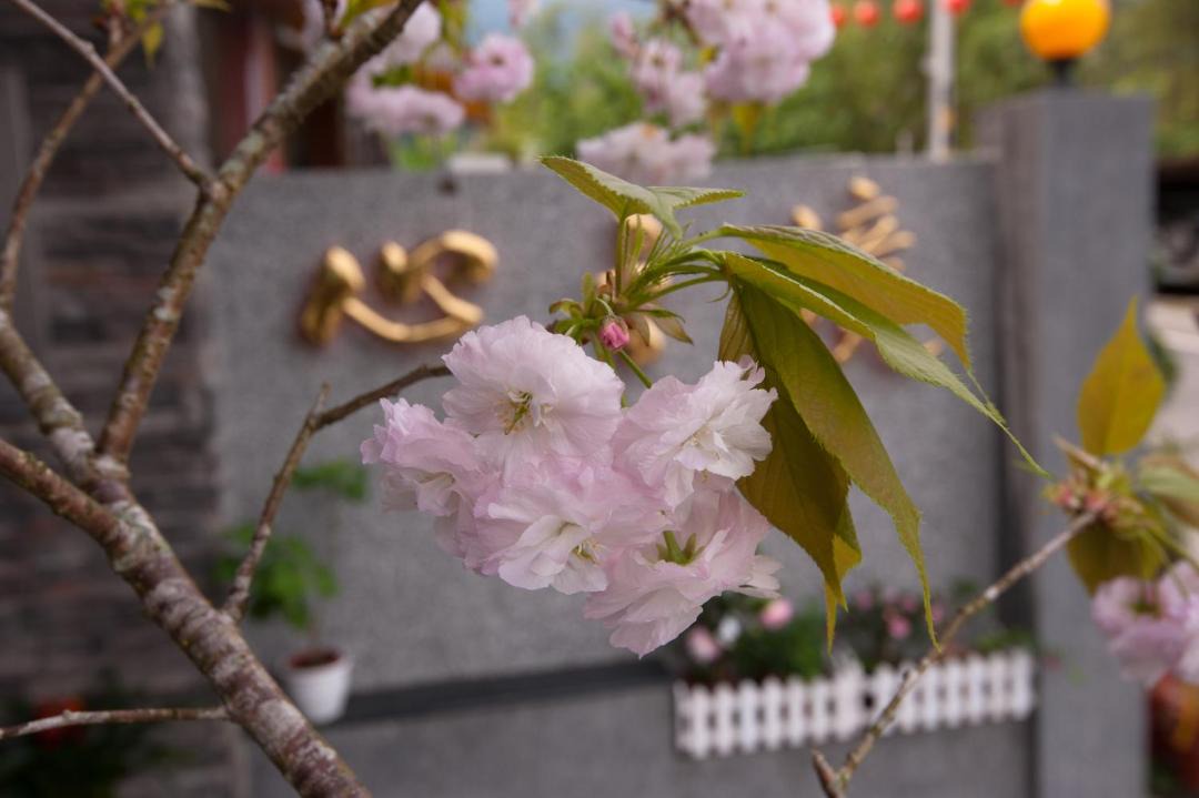 Photo of Outdoor in Xitou