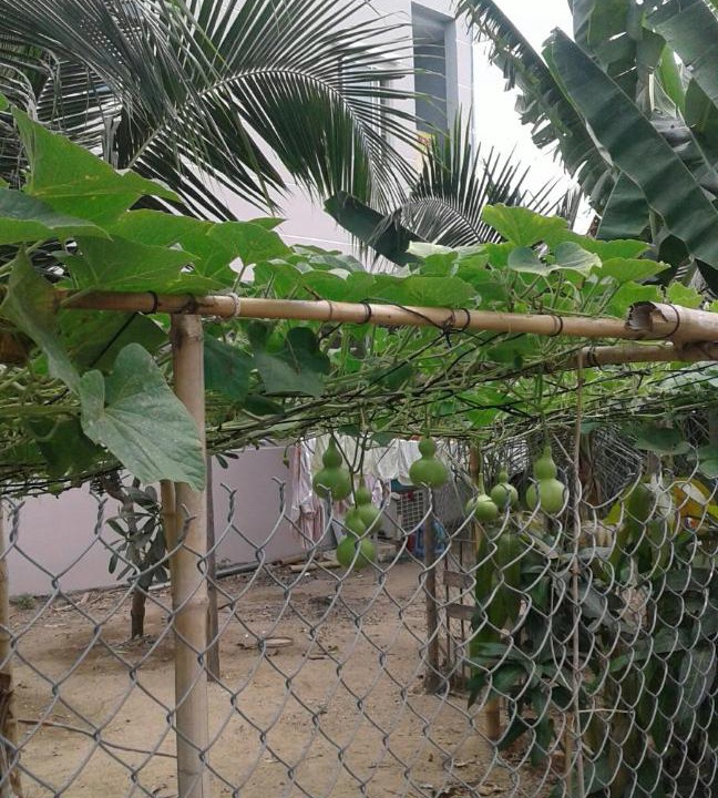 Photo of Others in Dien Khanh