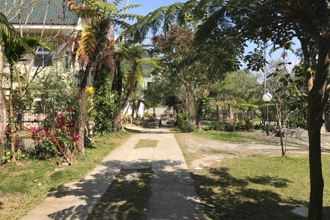 Photo of Others in Luye