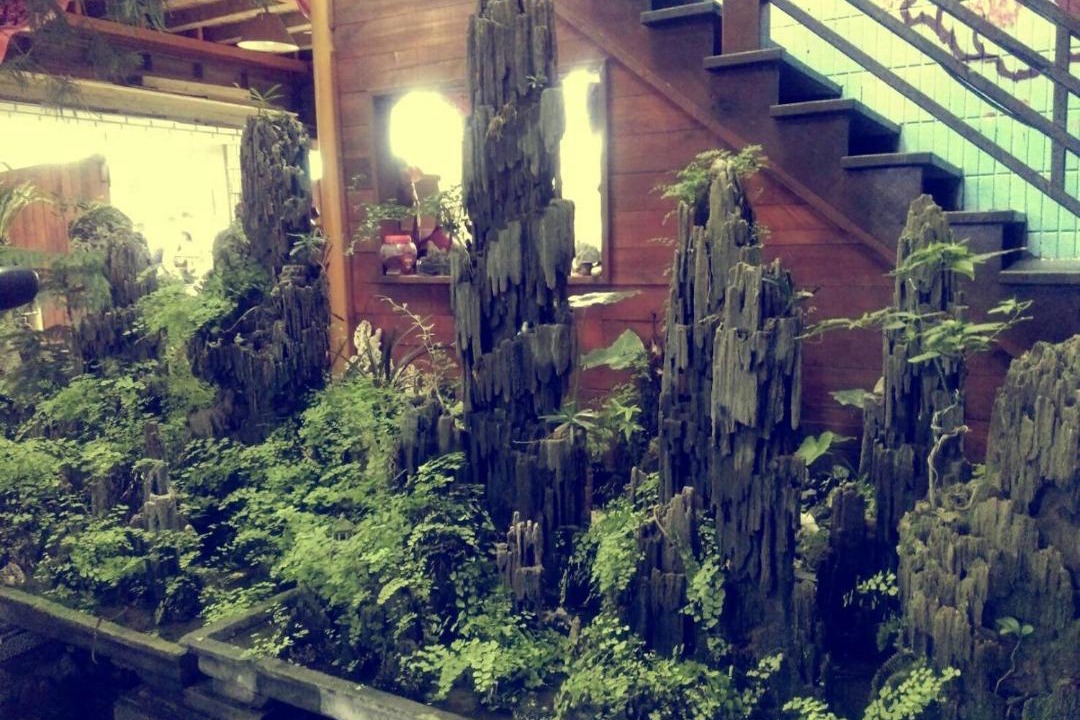 Photo of Others in Tongxiao