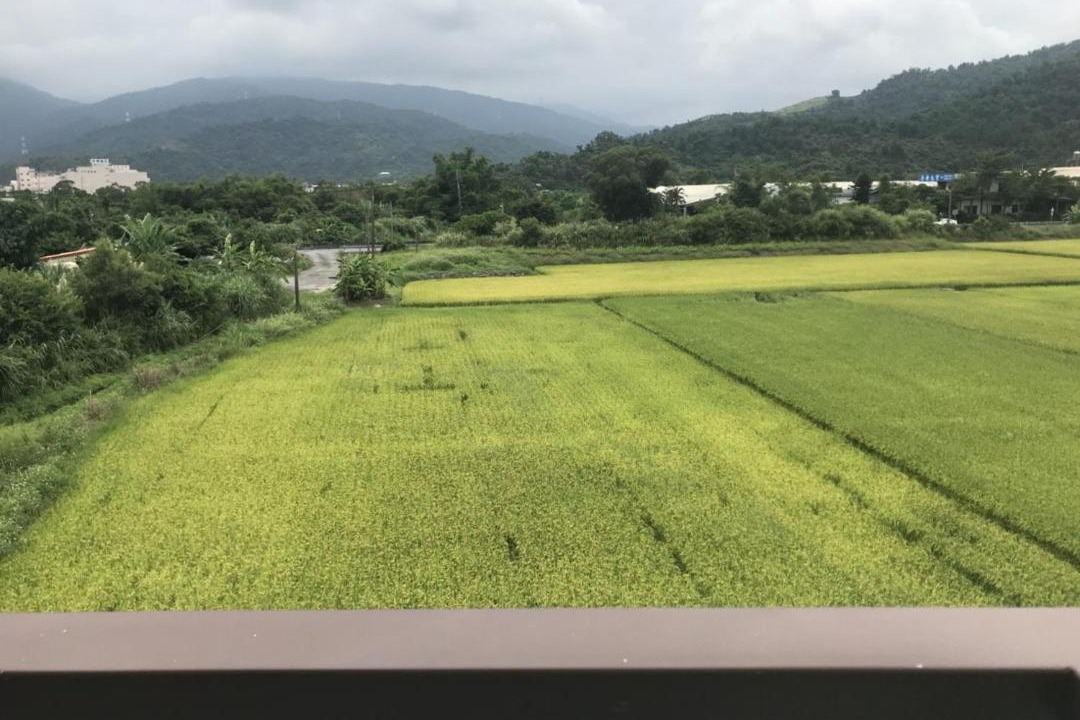Photo of Others in Dongshan