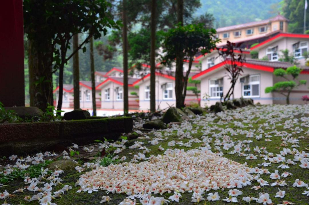 Photo of Others in Nanzhuang