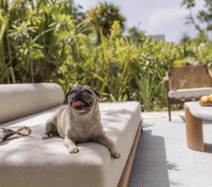 Andaz Mayakoba Concept 