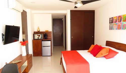 Deluxe Apartment