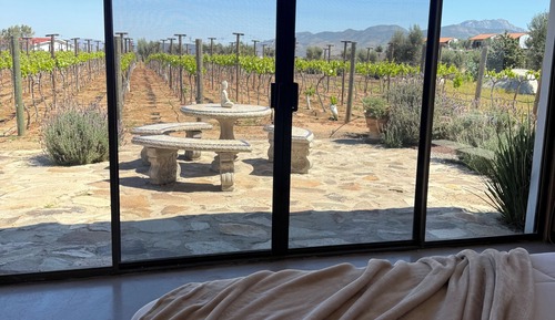 House, 4 Bedrooms, Non Smoking, Vineyard View