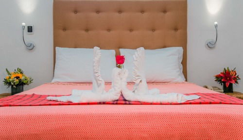 Junior Suite, 1 Queen Bed