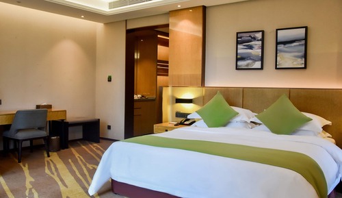 Room, 1 King Bed, Smoking (Selected)