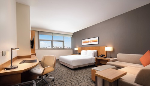 Room, 1 King Bed with Sofa bed