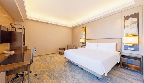 Room, 1 King Bed, City View (Horizon)