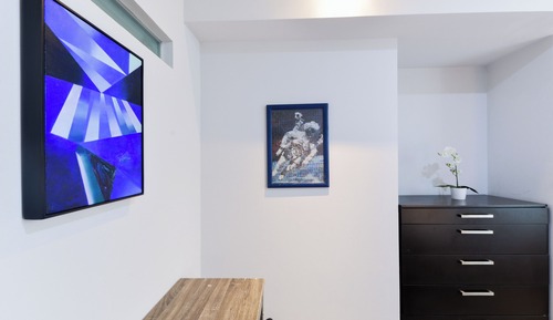 Premium Suite