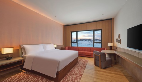 Room, 1 King Bed, Bathtub Grab Bars