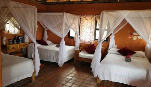 Superior Room with Ocean View or  Partial Ocean View