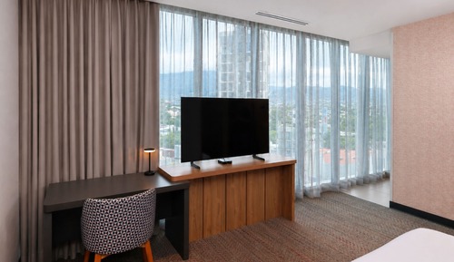 Studio, 1 King Bed, City View