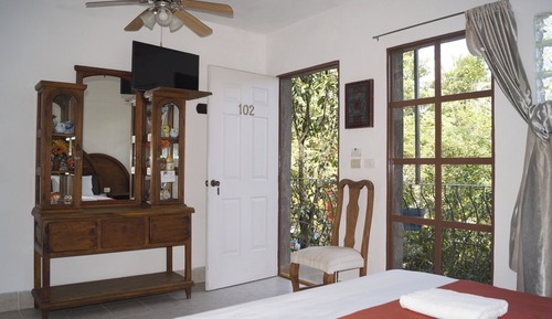 Basic Room, 1 King Bed, Private Bathroom, Courtyard View