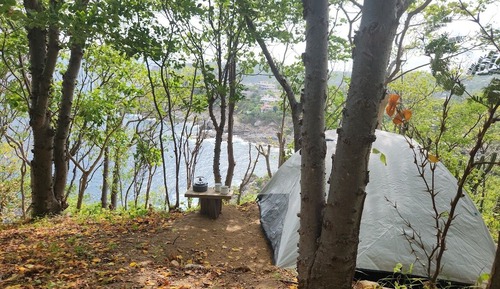 Comfort Tent