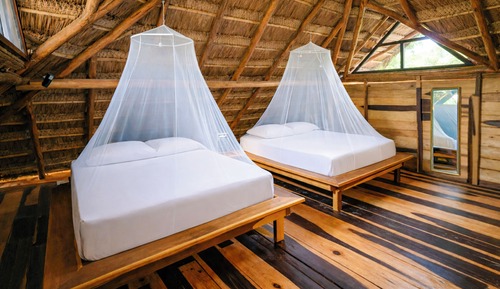 Deluxe Bungalow, 2 Queen Beds, Terrace, Mezzanine
