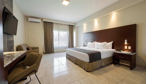 Executive Suite, 1 King Bed with Sofa bed, Hot Tub (Suite Cam King tina de hidromasaje)