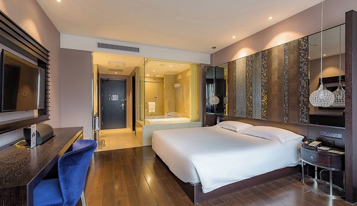 Standard Double Room, 1 King Bed, Housekeeping, City View