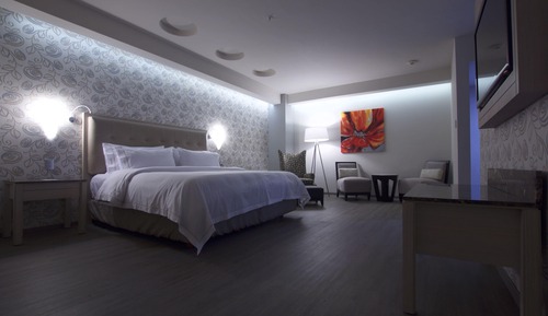 Suite, 1 King Bed