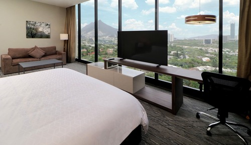 Suite, 1 King Bed with Sofa bed