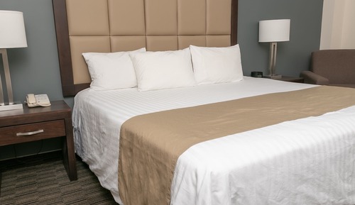 Standard Room, 1 King Bed, Non Smoking, Refrigerator
