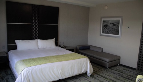 Executive Room, 1 King Bed