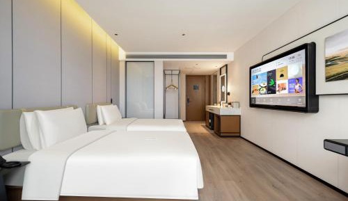 Elegant Twin Room