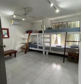 Single Bed in Mixed Dormitory Room