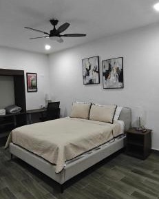 Standard Suite