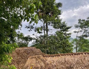 Family Bungalow