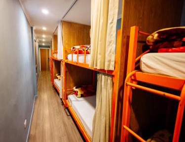  Bed in 12-Bed Mixed Dormitory Room