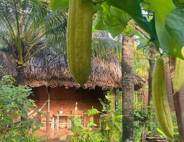 Bungalow with Garden View