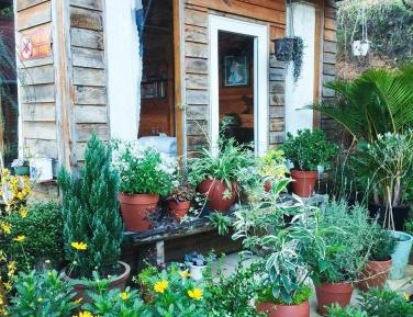 Quadruple Room with Garden View