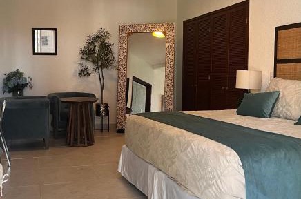 Deluxe King Suite