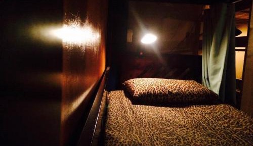 4-Bed Mixed Dormitory Room