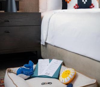 Deluxe Pet-Friendly Room 1 King Size Bed
