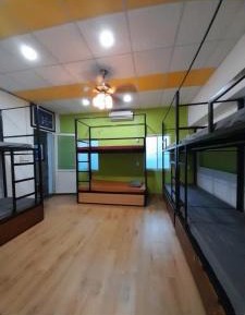 Bed in 8-Bed Dormitory Room