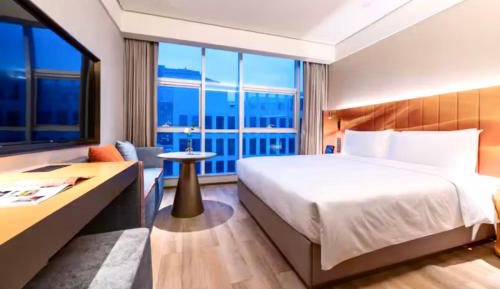 Superior Queen Room
