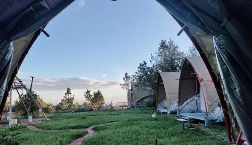 Tent