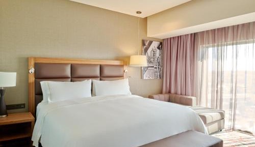 Executive Room 1 King