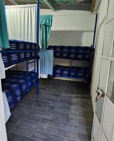 Bed in 8-Bed Mixed Dormitory Room