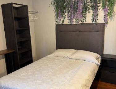 Double Room with Shared Bathroom