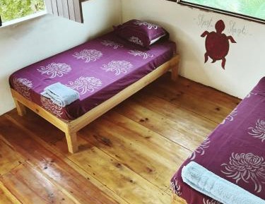 Single Bed in Female Dormitory Room