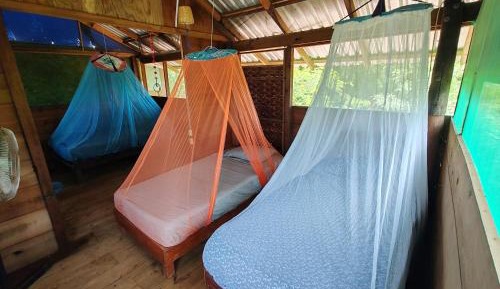 Single Bed in 4-Bed Dormitory Room