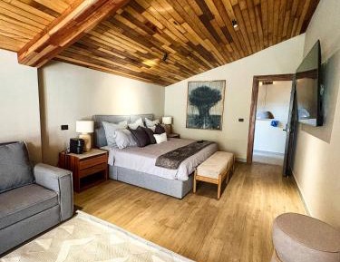 Superior King Suite