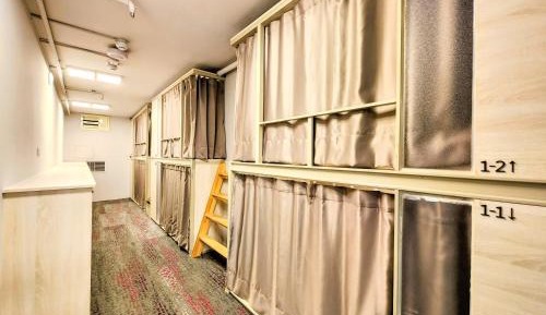 Bunk Bed in Mixed Dormitory Room