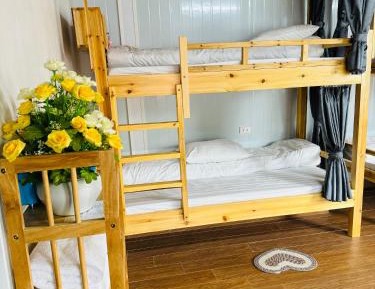 Single Bed in Mixed Dormitory Room